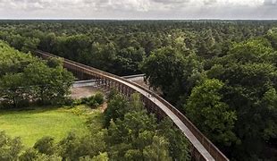 Fietsen door de Heide